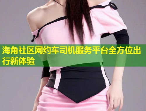 海角社区网约车司机服务平台全方位出行新体验  第1张