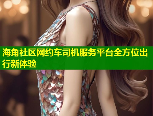 海角社区网约车司机服务平台全方位出行新体验  第2张